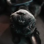 別荘 Zsam Mit Sauna Und Hottub