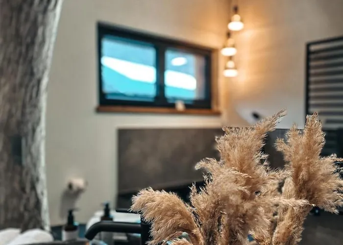 Holiday home Zsam Mit Sauna Und Hottub *