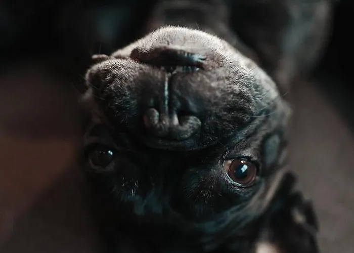 Holiday home Zsam Mit Sauna Und Hottub